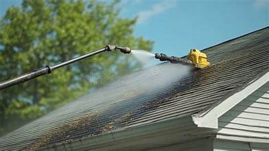 Roof Soft Wash